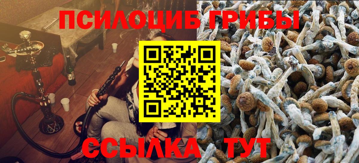 Псилоцибиновые грибы Cubensis Жигулёвск