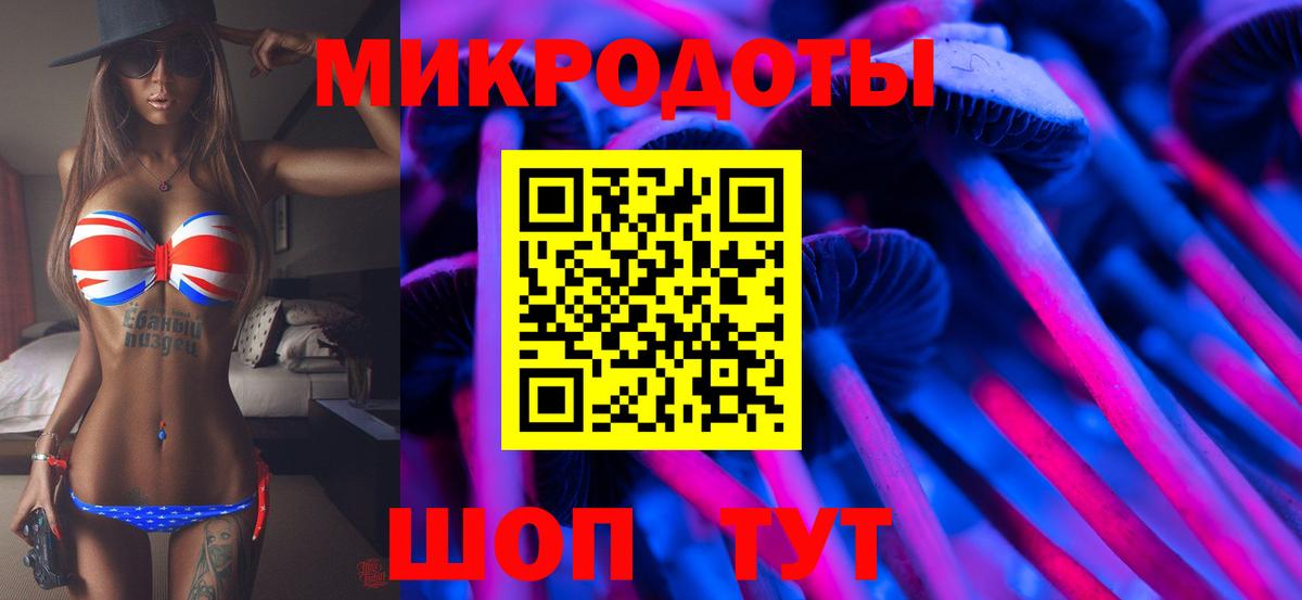 Псилоцибиновые грибы мицелий Жигулёвск