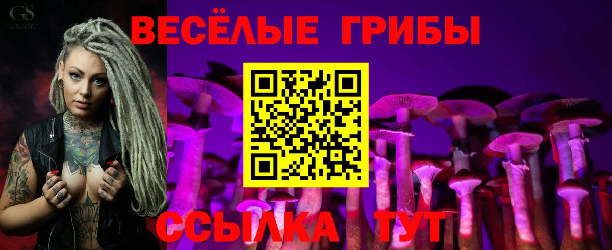 Галлюциногенные грибы прущие грибы  Вход с VPN  купить наркотик  Жигулёвск 